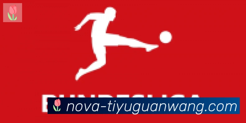 GOGO体育官网合作伙伴