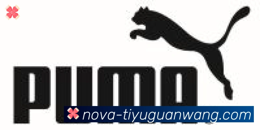 GOGO体育官网合作伙伴