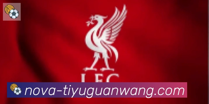 GOGO体育官网合作伙伴
